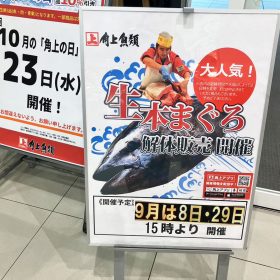 kakujou-tendon-magurokaitai