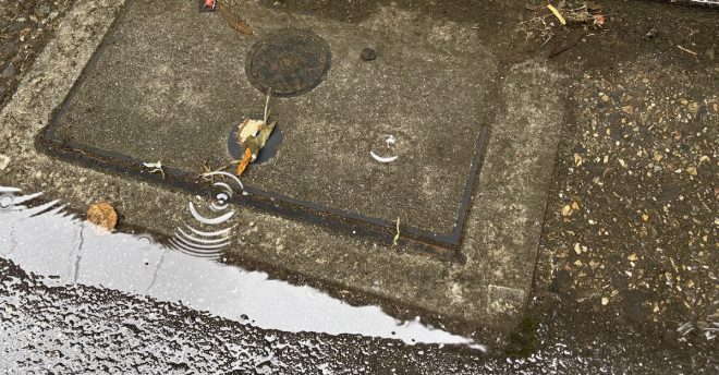「蚊」を家に入れない10の手順！　「14年間でゴキブリゼロ」の家が注力する蚊避け対策は？