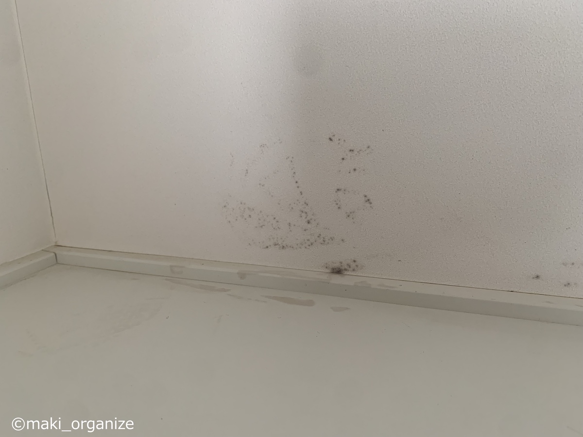 寝室の「カビ」を防ぐ10の対策！　「14年間でゴキブリゼロ」の家がやってる実例集の画像12