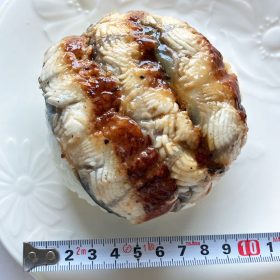 kakujougyorui-unagi-onigiri-3-20250618