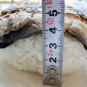 kakujougyorui-unagi-onigiri-4-20250618