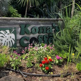konascoffee-3-20250627