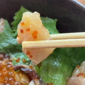 kurasushi-lunch-12-20250603