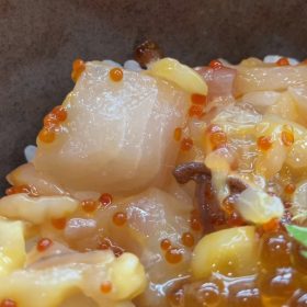 kurasushi-lunch-9-20250603