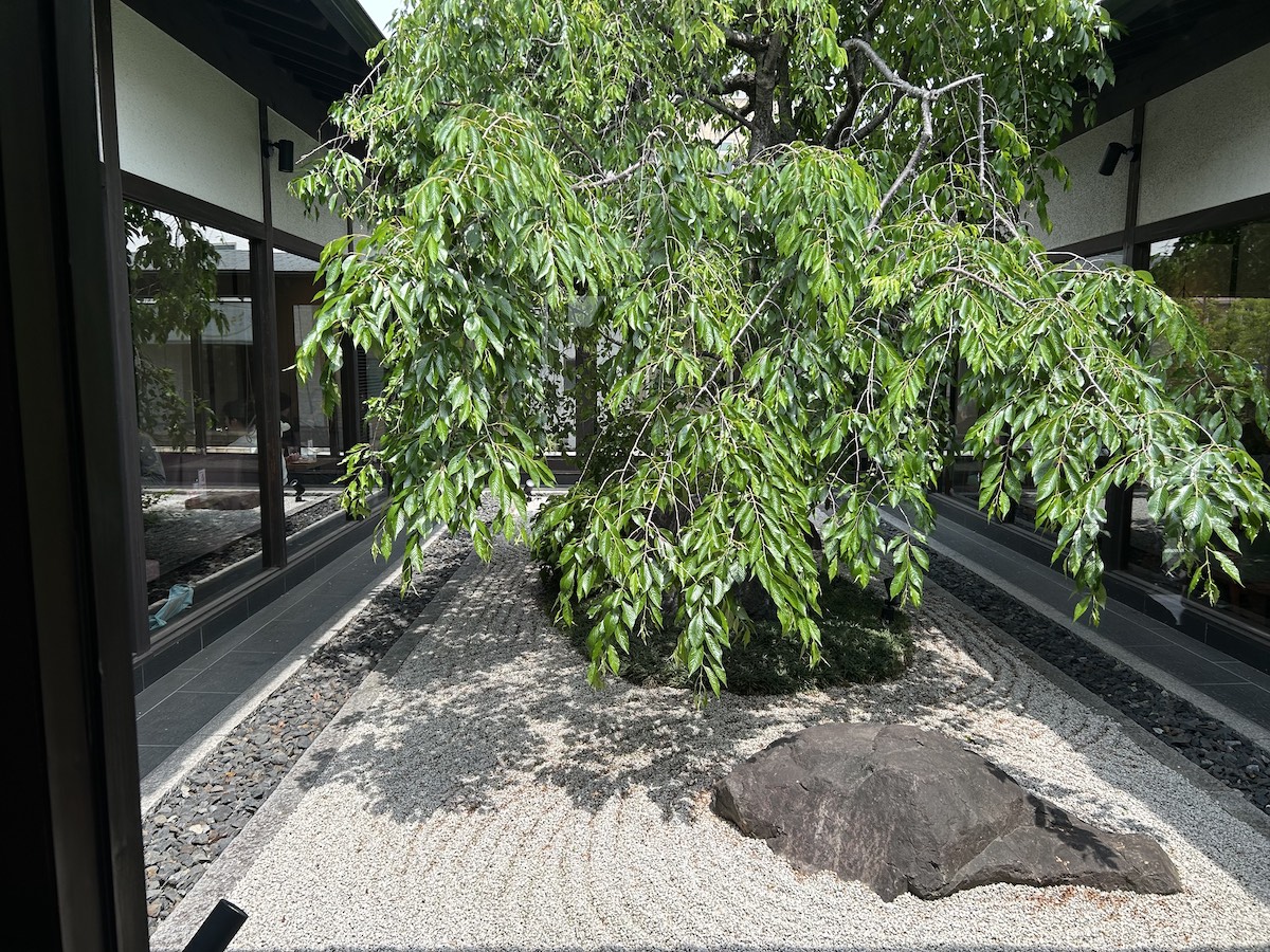 喫茶店天国・大阪のローカルチェーン【桜珈琲】、モーニングに大満足！　数量限定メニュー実食の画像2