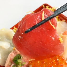 kakujougyorui-kaisendon-10-20250725
