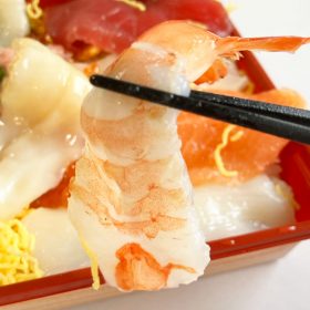 kakujougyorui-kaisendon-13-20250725
