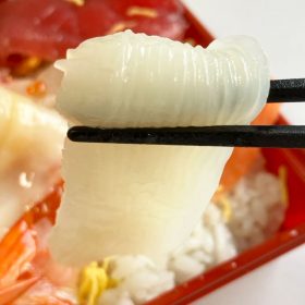 kakujougyorui-kaisendon-14-20250725