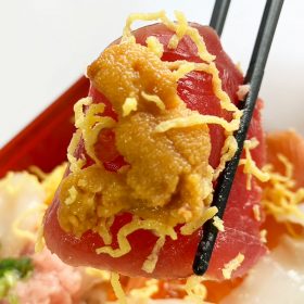 kakujougyorui-kaisendon-16-20250725