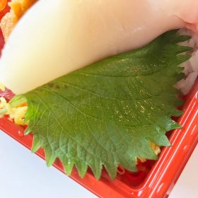 kakujougyorui-kaisendon-8-20250725