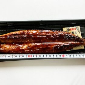 kakujougyorui-unagi_jitsuenhanbai-9-20250719