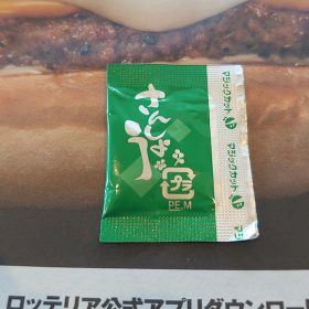 lotteria-05-20250717