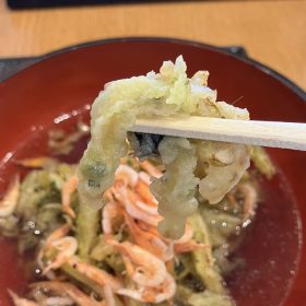 marugameseimen-sakuraebi-12-20250701