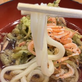 marugameseimen-sakuraebi-2-20250701