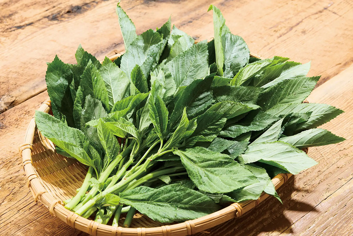  【しゃぶしゃぶ温野菜】中高生「食べ放題」が平日半額！　8/8まで期間限定の画像6