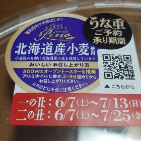 pizza-bento-14-20250724