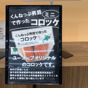 youcoop-16-20250723