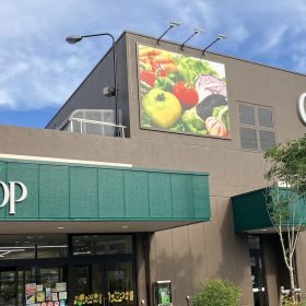 youcoop-5-20250723
