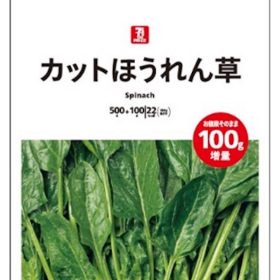 seventheprice-4-20250825