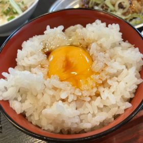 toriichizu-lunch_menu-9-20250807
