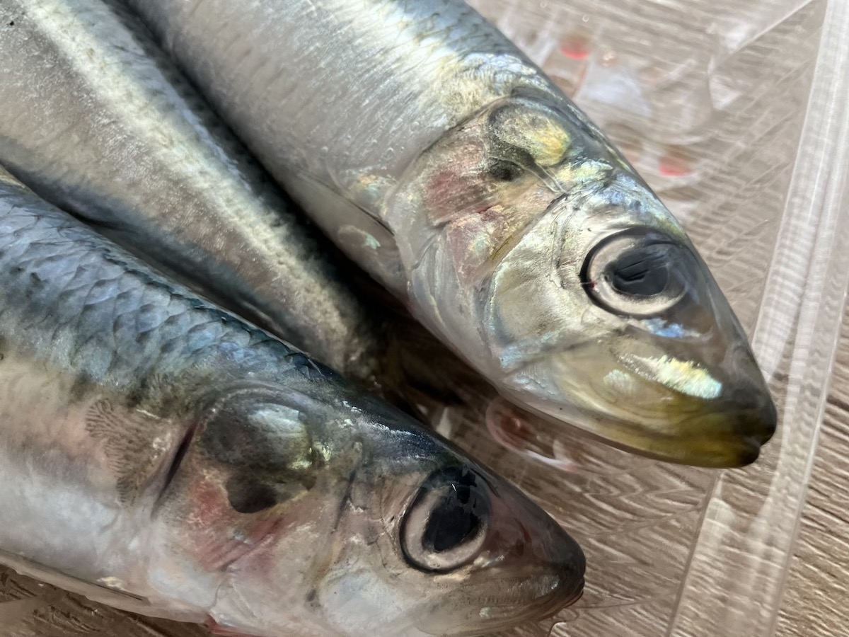 全国1位の“お魚”スーパー【ビッグヨーサン】激ウマ「いわし4尾」謎のタイムセールで驚がく価格！の画像4