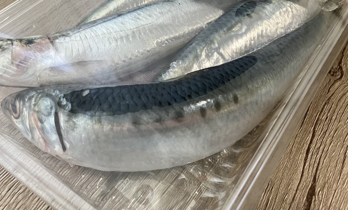 全国1位の“お魚”スーパー【ビッグヨーサン】激ウマ「いわし4尾」謎のタイムセールで驚がく価格！の画像3