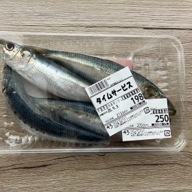 bigyosan-14-20250902