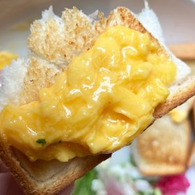 bikkuridonky-morning_plate-13-20250916