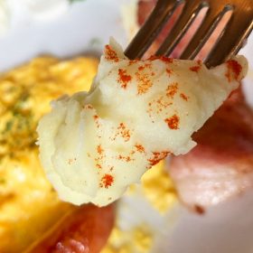 bikkuridonky-morning_plate-16-20250916
