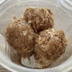 chateraise-6-20250908