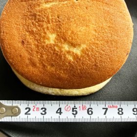 fujiya_confectionary-namadorayaki-12-20250911