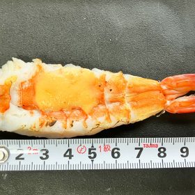 kakujougyorui-aburi_cheese_sushi-9-20250910