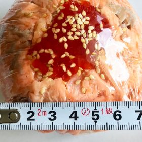 kakujougyorui-ginzakesaikyouyakihogusionigiri-4-20250918