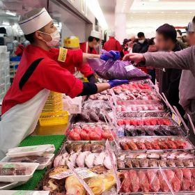 kakujyo-gyorui-02-20250930