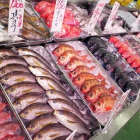 kakujyo-gyorui-03-20250930