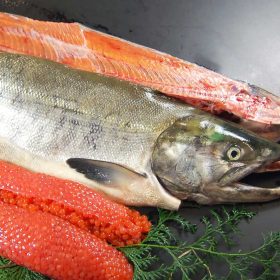 kakujyo-gyorui-04-20250930