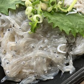 lopia-fujisawa-sakana8-20250928