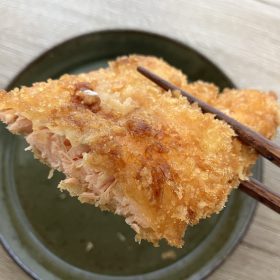 lopia-fujisawa-sakanafly-3