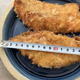 lopia-fujisawa-sakanafly-nagasa