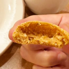 saizeriya-bone-07-20250930