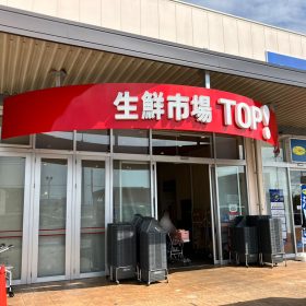 seisenichiba_top-shirasu_pizza-3-20250911