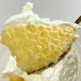 seisenichibatop-namacream_morisugiroll-6-20250916