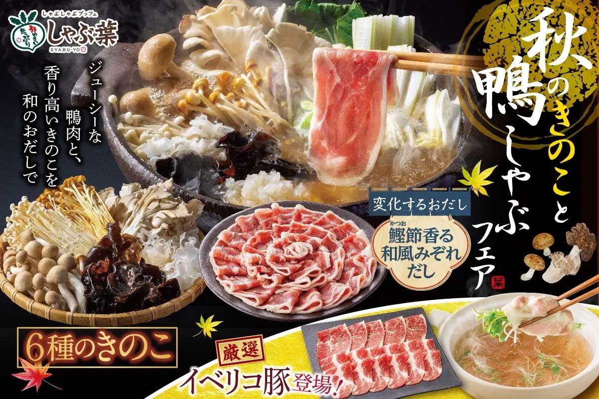 【しゃぶ葉】2859円～「鴨しゃぶ」フェアの内容は？　イベリコ豚が復活、きのこ6種も食べ放題の画像2