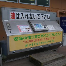 yamato-namagomi