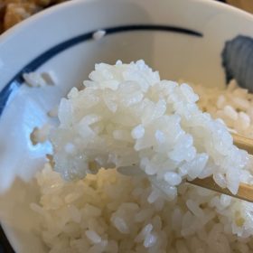 yaroumeshi-1-20250908