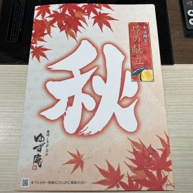 yuzuan-aki-17