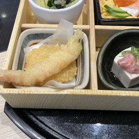 yuzuan-aki-8