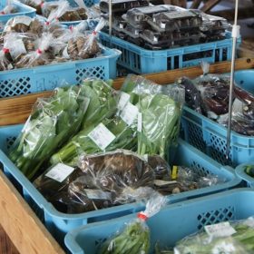 chokubaijyo-1-20251009