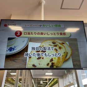 ibaraki-taiyo-5-20251004