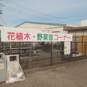 kaguya-hime-03-20251031